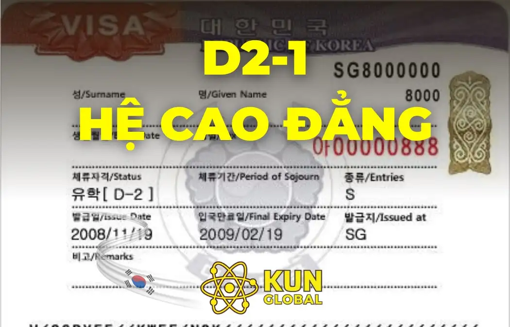 Visa D2-1 Hàn Quốc: Lựa Chọn “Vàng” Để Rút Ngắn Lộ Trình Sự Nghiệp