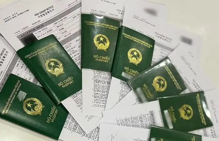Visa D2-3 Hàn Quốc: Nâng Tầm Sự Nghiệp Với Tấm Bằng Thạc Sĩ Quốc Tế